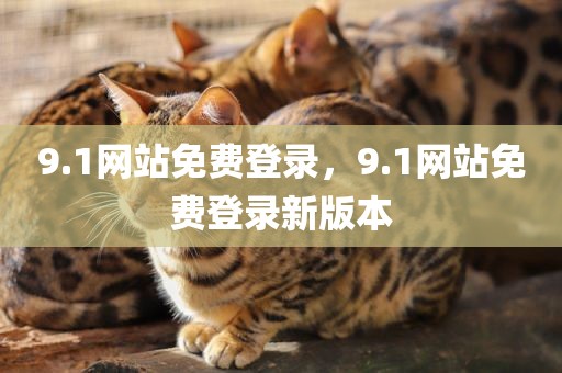 9.1网站免费登录，9.1网站免费登录新版本