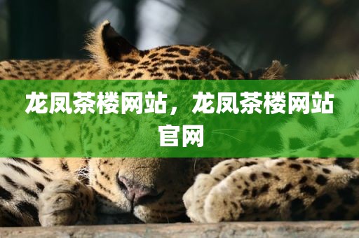 龙凤茶楼网站，龙凤茶楼网站官网