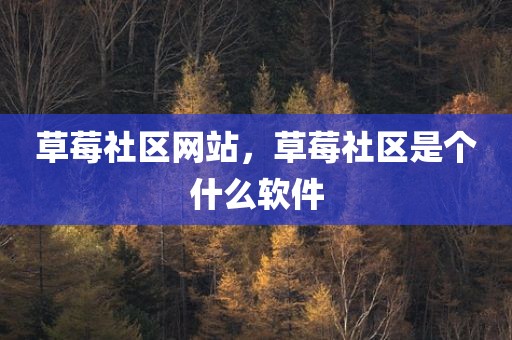 草莓社区网站，草莓社区是个什么软件