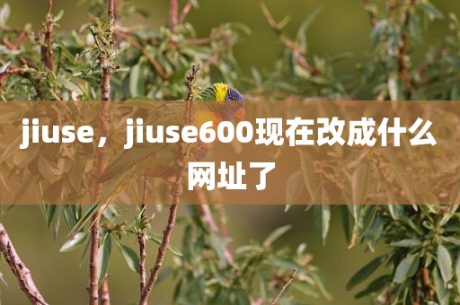jiuse，jiuse600现在改成什么网址了