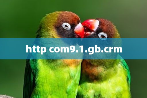 http com9.1.gb.crm