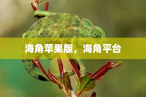 海角苹果版，海角平台