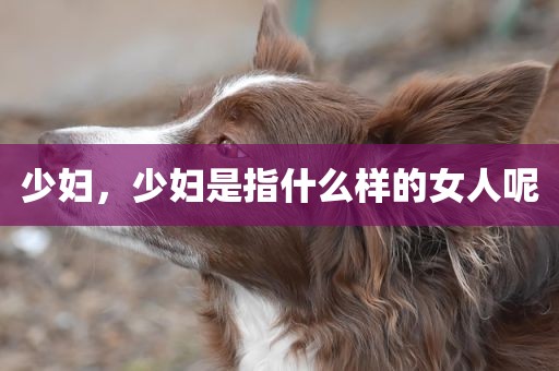 少妇，少妇是指什么样的女人呢
