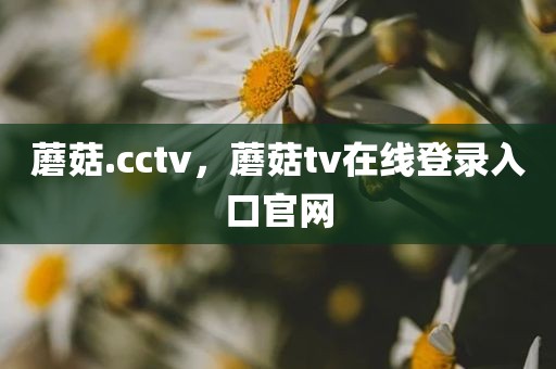 蘑菇.cctv，蘑菇tv在线登录入口官网