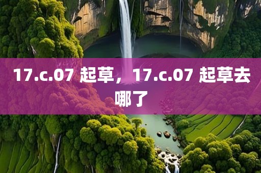 17.c.07 起草，17.c.07 起草去哪了