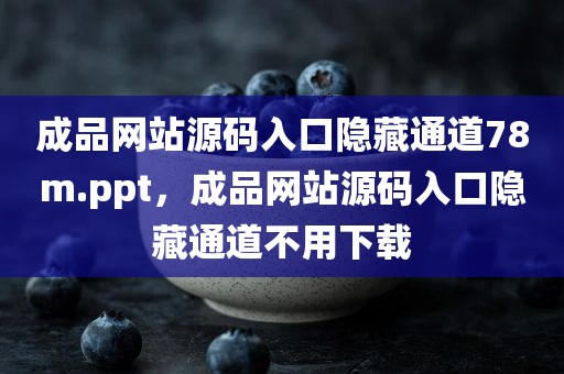 成品网站源码入口隐藏通道78m.ppt，成品网站源码入口隐藏通道不用下载