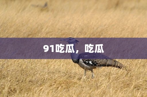 91吃瓜，吃瓜