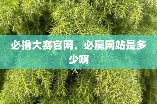 必撸大赛官网，必赢网站是多少啊