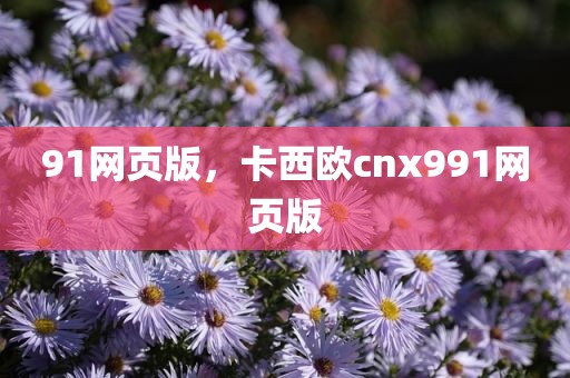 91网页版，卡西欧cnx991网页版