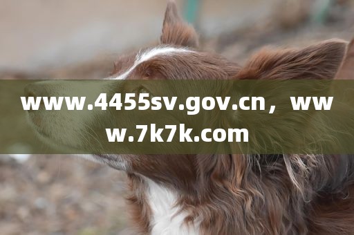 www.4455sv.gov.cn，www.7k7k.com