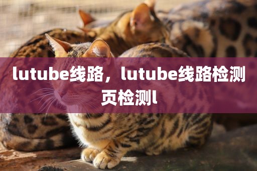 lutube线路，lutube线路检测页检测l
