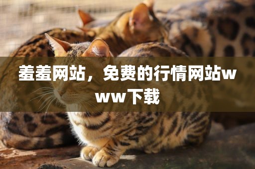 羞羞网站，免费的行情网站www下载