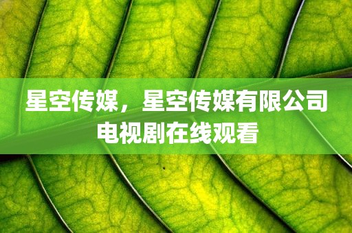星空传媒，星空传媒有限公司电视剧在线观看