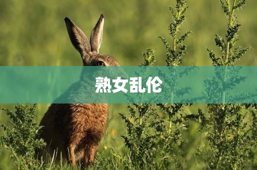 熟女乱伦