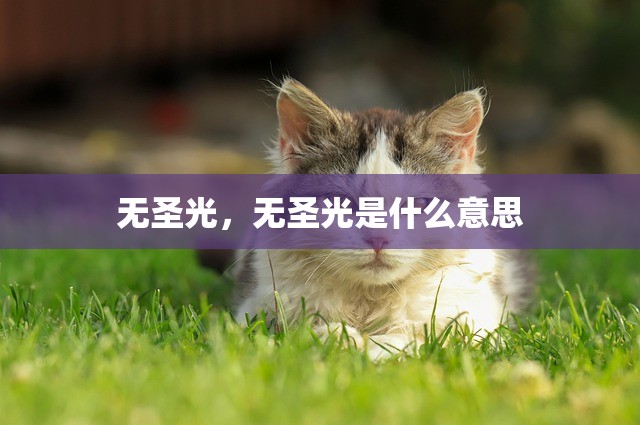无圣光，无圣光是什么意思