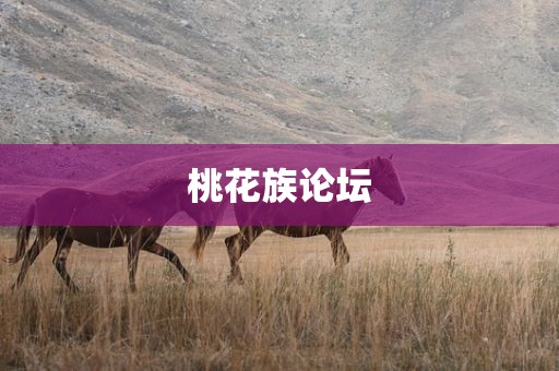 桃花族论坛