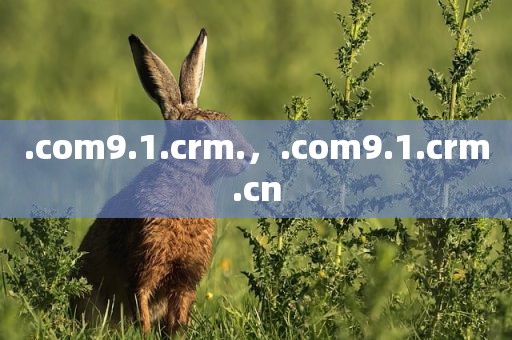 .com9.1.crm.，.com9.1.crm.cn