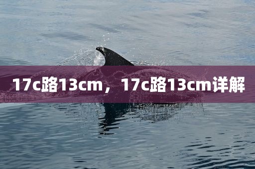 17c路13cm，17c路13cm详解