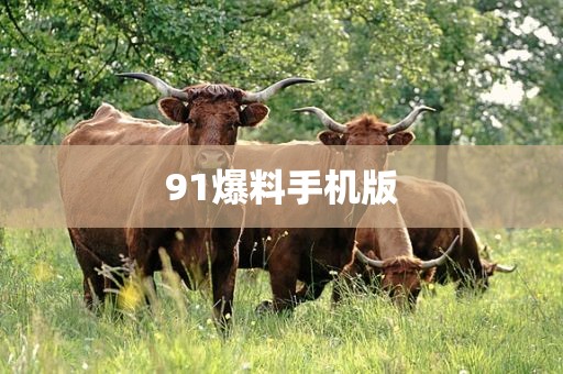 91爆料手机版