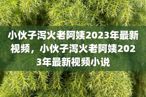 小伙子泻火老阿姨2023年最新视频，小伙子泻火老阿姨2023年最新视频小说