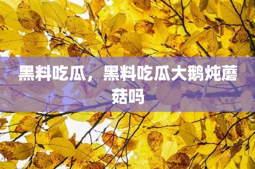 黑料吃瓜，黑料吃瓜大鹅炖蘑菇吗