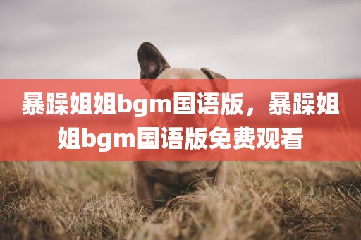 暴躁姐姐bgm国语版，暴躁姐姐bgm国语版免费观看