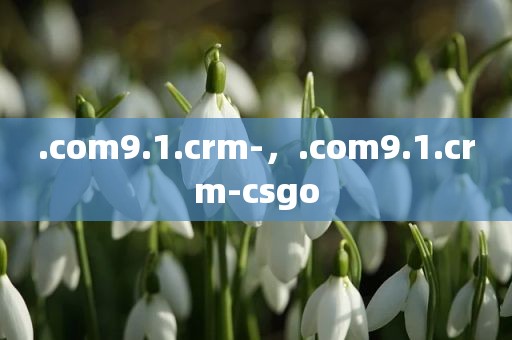 .com9.1.crm-，.com9.1.crm-csgo