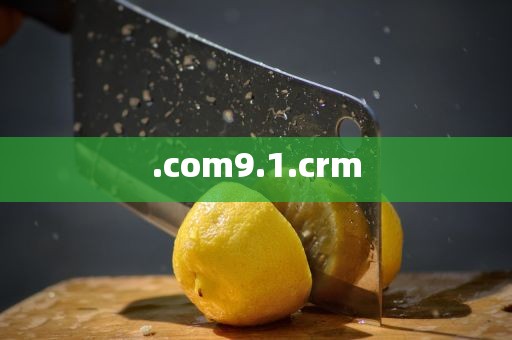 .com9.1.crm