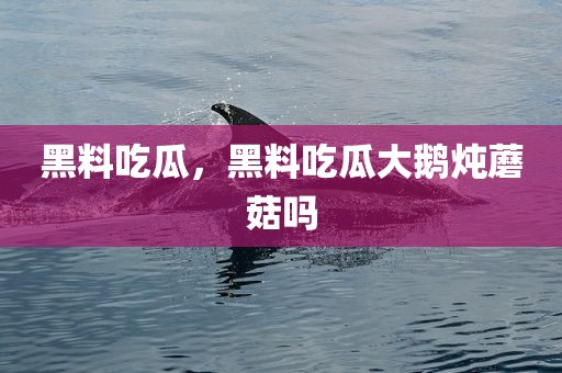 黑料吃瓜，黑料吃瓜大鹅炖蘑菇吗