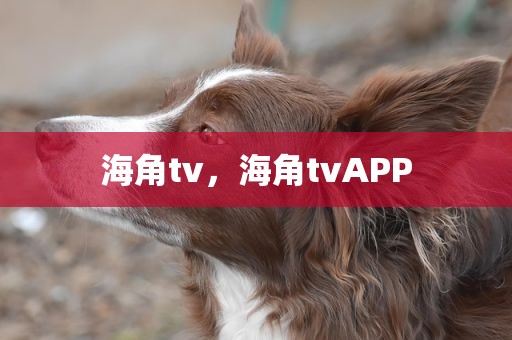海角tv，海角tvAPP