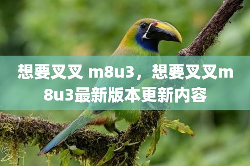 想要叉叉 m8u3，想要叉叉m8u3最新版本更新内容