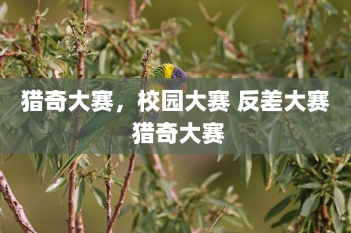 猎奇大赛，校园大赛 反差大赛 猎奇大赛