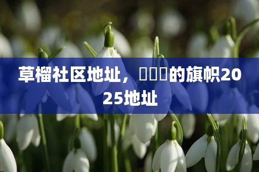 草榴社区地址，逹葢薾的旗帜2025地址
