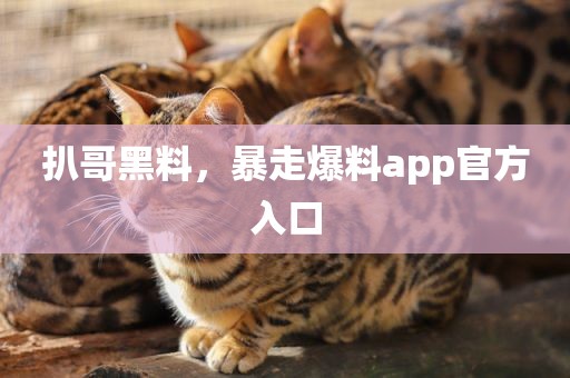 扒哥黑料，暴走爆料app官方入口