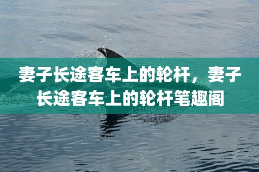 妻子长途客车上的轮杆，妻子长途客车上的轮杆笔趣阁