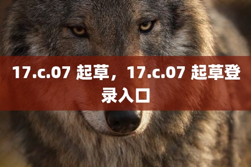 17.c.07 起草，17.c.07 起草登录入口