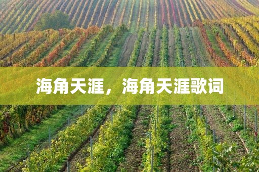 海角天涯，海角天涯歌词