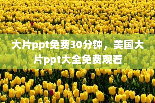 大片ppt免费30分钟，美国大片ppt大全免费观看