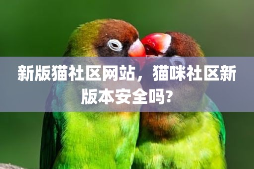 新版猫社区网站，猫咪社区新版本安全吗?