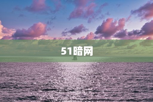 51暗网