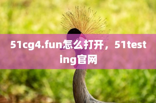 51cg4.fun怎么打开，51testing官网