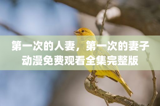 第一次的人妻，第一次的妻子动漫免费观看全集完整版