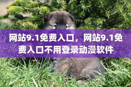 网站9.1免费入口，网站9.1免费入口不用登录动漫软件