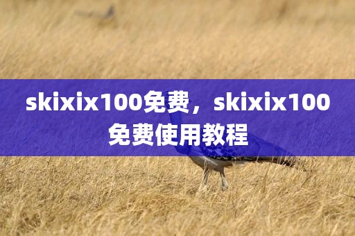 skixix100免费，skixix100免费使用教程