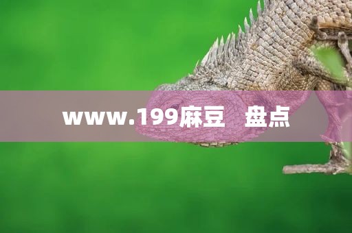 www.199麻豆   盘点