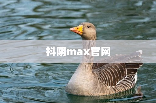 抖阴max官网