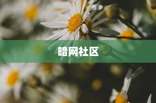 暗网社区