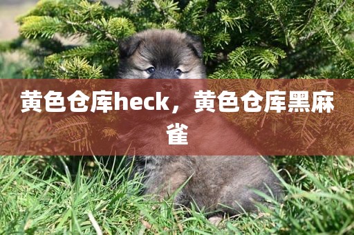 黄色仓库heck，黄色仓库黑麻雀
