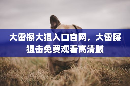 大雷擦大狙入口官网，大雷擦狙击免费观看高清版