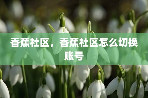 香蕉社区，香蕉社区怎么切换账号